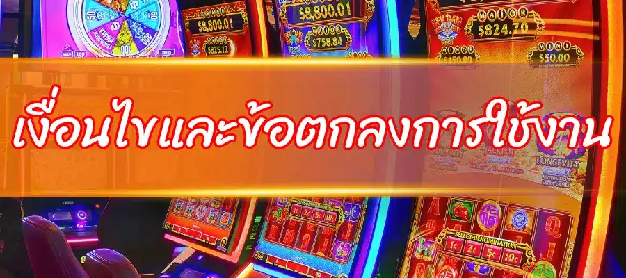 เงื่อนไขและข้อตกลงการใช้งาน